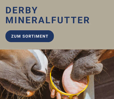 Kachel Navi Banner Mineralfutter